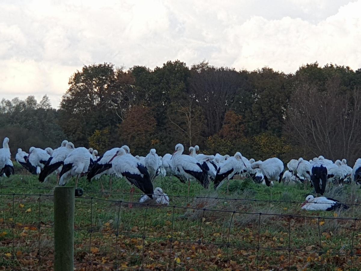 Buitenplaats Reestdal IJhorst Dış mekan fotoğraf
